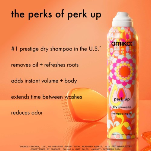 Amika Perk Up Dry Shampoo 89 ml