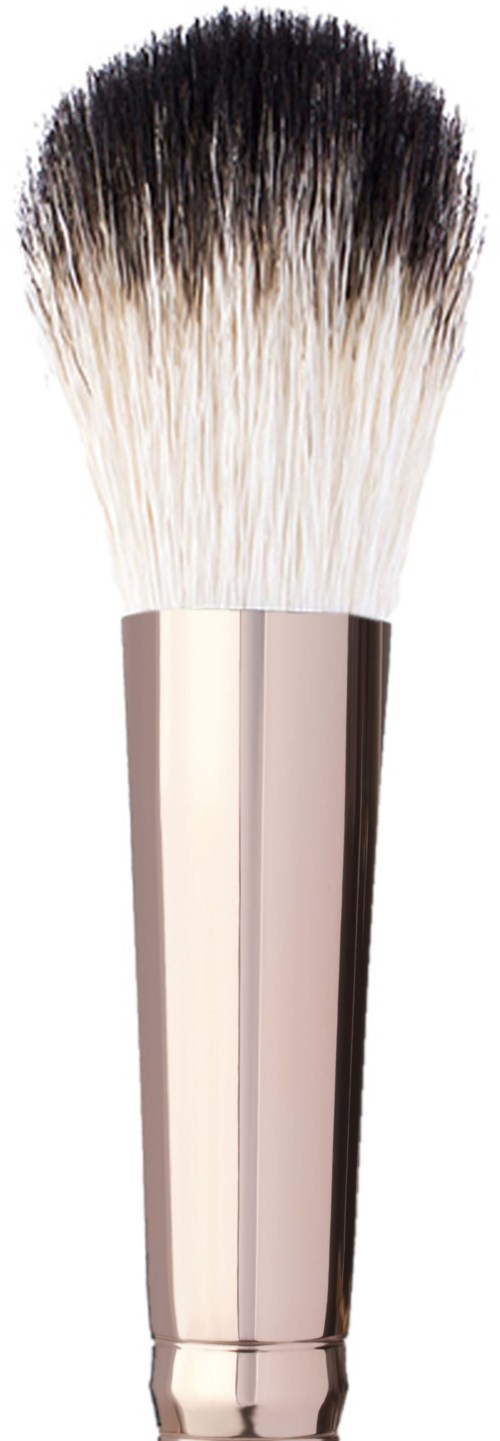 Anastasia Beverly Hills Brush A23