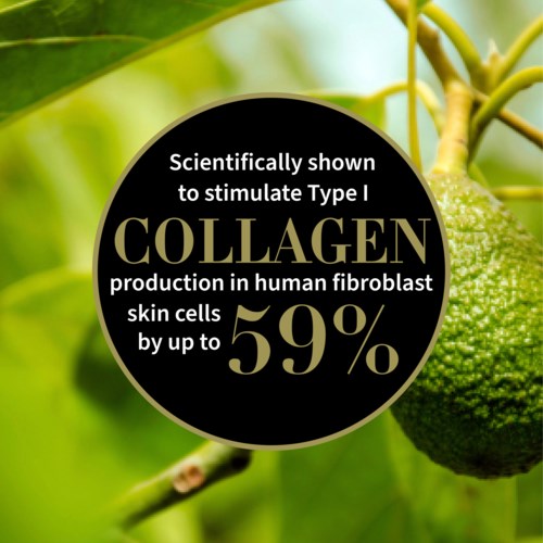 Eine grüne Pflanze mit einer runden, grünen Frucht, die Collagen-Vorteile auf einem schwarzen Kreis hervorhebt. Text erklärt Kollagen.