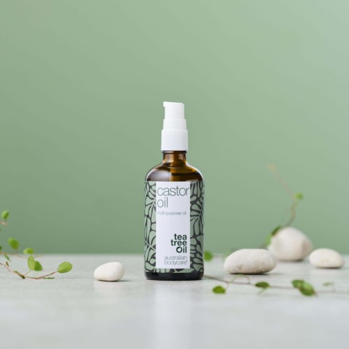 Bottle of tea tree oil surrounded by small rocks and green plants on a white surface.
