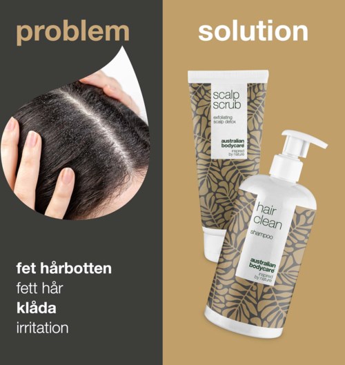 A diagram shows a problem with itchy scalp and oily hair, and a solution with hair shampoo and scalp scrub.