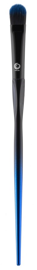 A brush with blue and black bristles and a long black handle. It is standing upright against a black background.