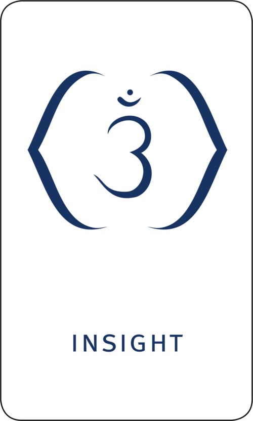 Das Bild zeigt ein Logo mit einem blauen Om-Symbol, umgeben von Klammern und dem Wort INSIGHT darunter.