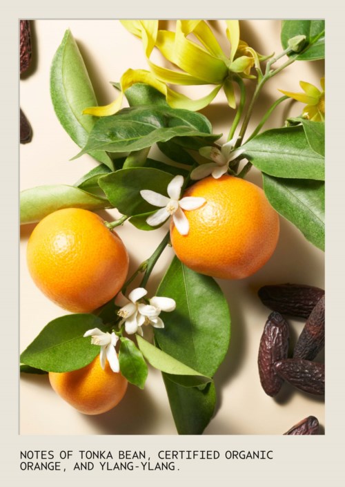 Drei Orangen mit grünen Blättern, weißen Blumen und einer gelben Frucht, zusammen mit einigen dunklen Datteln.