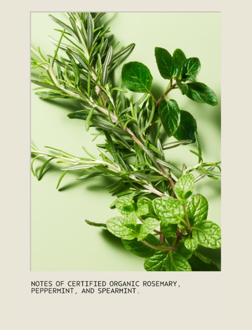 Färska kvistar av rosmarin, pepparmint och spearmint visas. Anteckningen säger att de är ekologiska och certifierade.