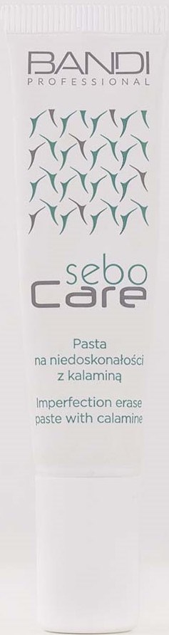 A white tube labeled 'Bandi Professional Sebo Care' with a nature-inspired design. It is for erasing skin imperfections with calamine.