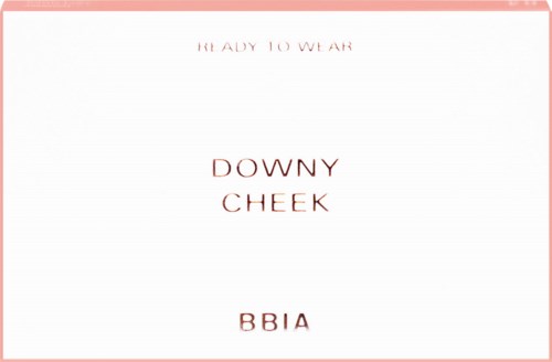 Text on a white background with a pink border, saying "Ready to Wear," "Downy Cheek," and "BBIA."