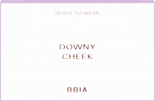 Tekst op een witte achtergrond met een paarse rand, met de woorden 'READY TO WEAR,' 'DOWNY CHEEK,' en 'BBIA.'