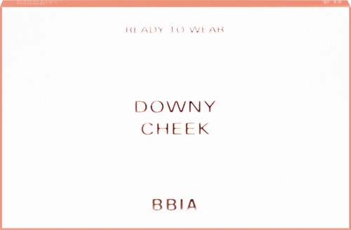 Text on a white background with a pink border, saying "READY TO WEAR DOWNY CHEEK BBIA" in the center.