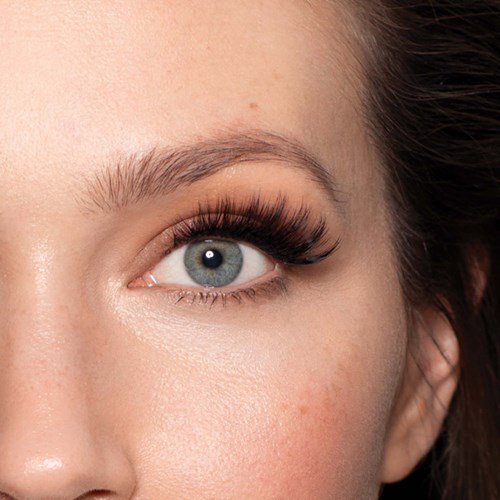 Close-up van een vrouw haar oog met lange wimpers en verzorgde wenkbrauwen.