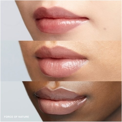 Bobbi Brown Crushed Oil-Infused Gloss Force of Nature