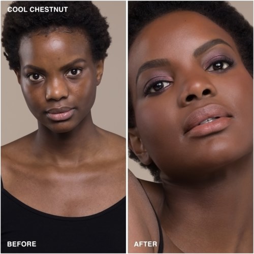 Bobbi Brown Skin Foundation Stick Cool Chestnut