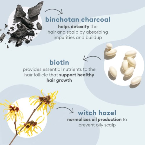 Diagram dat de voordelen van binchotan houtskool, biotine en witch hazel toont voor haargroei en hoofdhuiddetox.