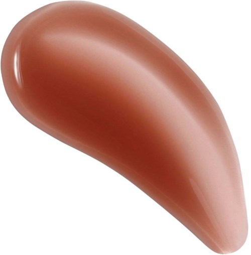 A shiny, smooth, brown object that looks like a small bean or seed.