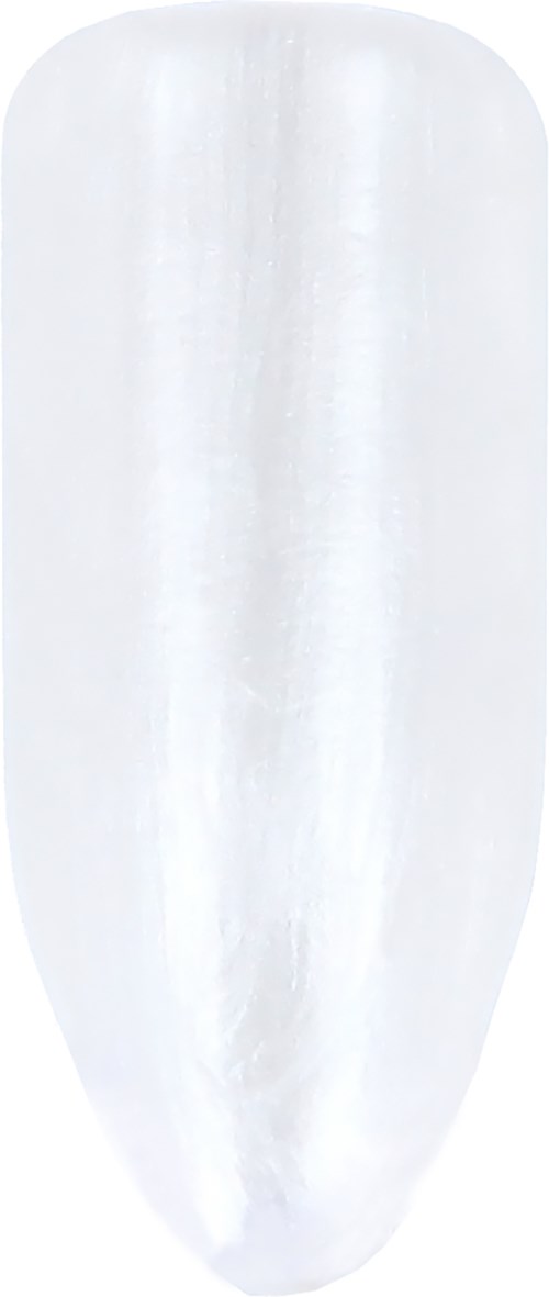 A white, elongated object with a smooth surface, shaped like a rounded nail or capsule.