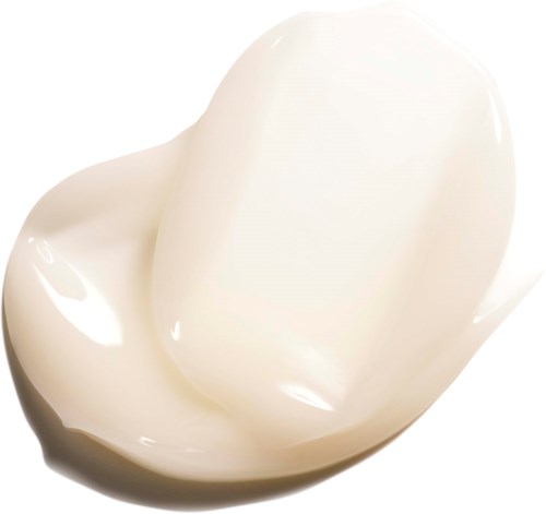 A white, glossy, smooth eggshell with some reflections. Small parts of the shell are broken or missing.