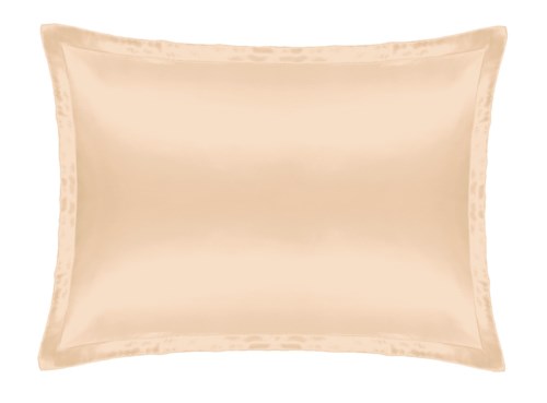 A cream-colored pillow with a plain design and satin-like borders.