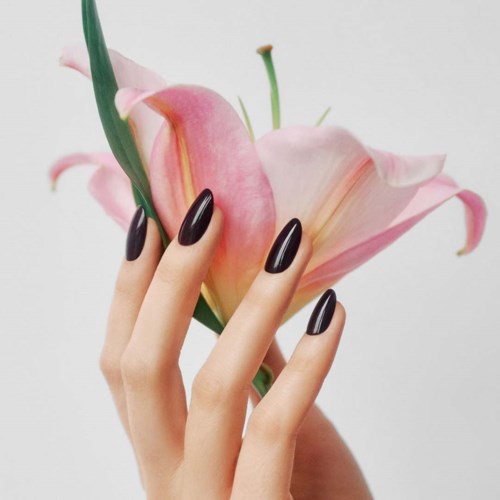 Eine Hand mit dunklem Nagellack hält eine rosa und weiße Lilie vor hellem Hintergrund.