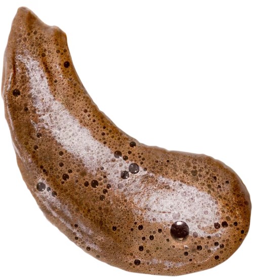 En brun banan med brune flekker og skumdekke på overflaten.