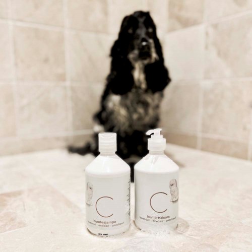 Dog sitting in the back, with two bottles in the foreground on a bathroom surface.