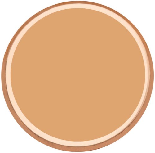 A round, brown object that resembles a cookie or biscuit with a light edge.