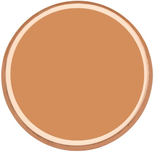 A round, beige object with a darker edge, resembles a cookie or biscuit.