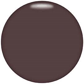 A dark brown solid circle with a slight shine, no other objects or details visible.