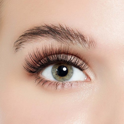 Close-up of a person's eye with makeup, long eyelashes, and well-groomed eyebrow.