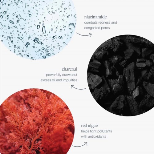 Diagram dat de voordelen van verschillende huidverzorgingsingrediënten laat zien: niacinamide vermindert roodheid, houtskool verwijdert olie, rood alg geeft antioxidanten.