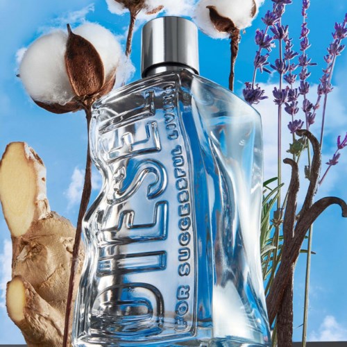 A perfume bottle shaped like a crumpled paper lies among cotton, lavender, and ginger with a blue sky background.
