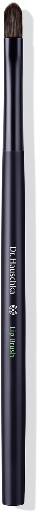 A makeup brush with a black handle and brown bristles stands vertically on a black background.