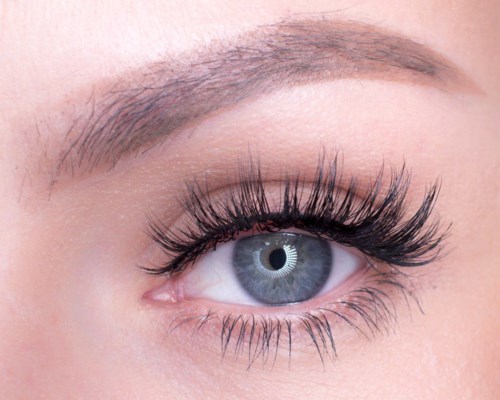 Close-up of a blue eye with long eyelashes and well-shaped eyebrow.