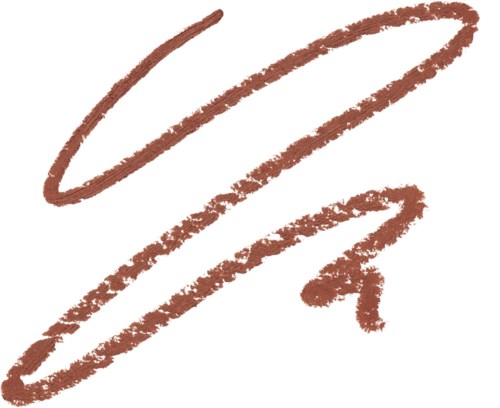 A brown squiggly line with a darker brown zigzag curl on the side.