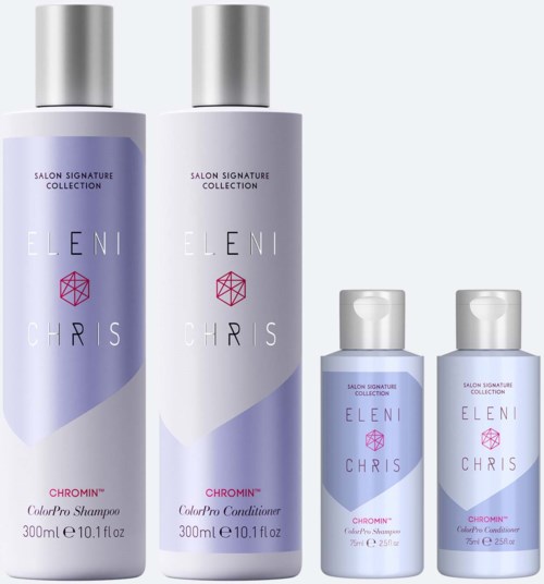 Zwei große Shampoo- und Conditioner-Flaschen sowie zwei kleinere Reisezettel, alle mit lila und silbernen Etiketten.