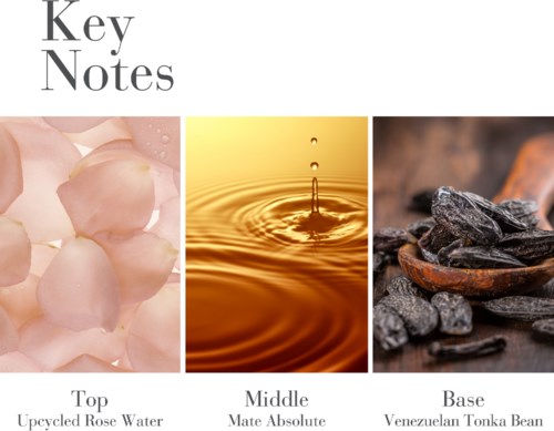 A skincare product label with three main ingredients: rose water, water, and toner bean. It shows images of rose petals, water, and beans.
