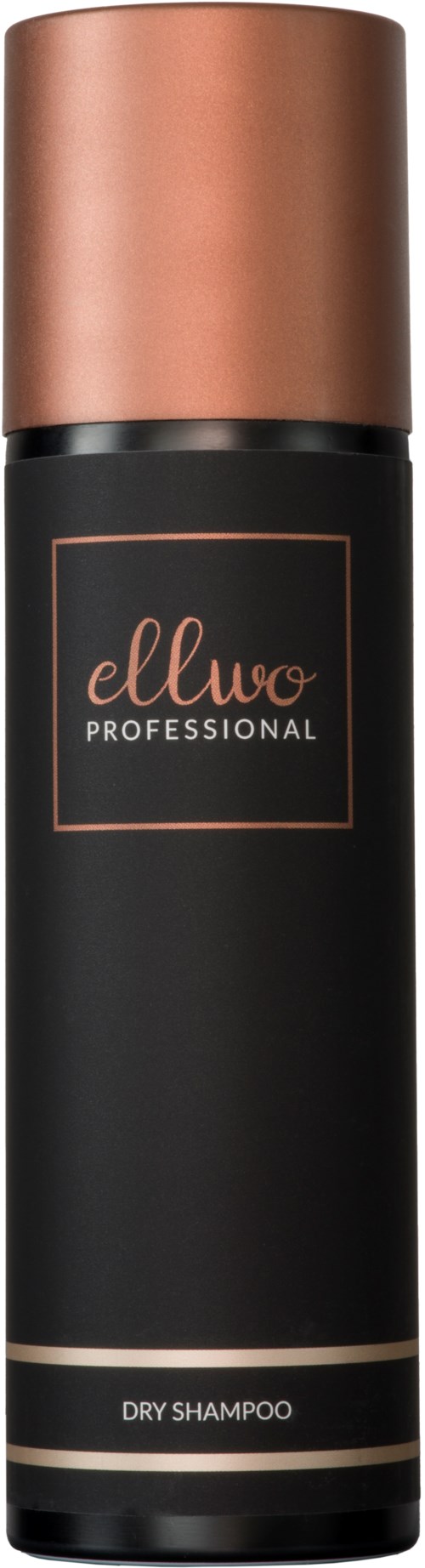 A black and copper cylindrical bottle, labeled 'ellwo PROFESSIONAL' and 'DRY SHAMPOO,' likely a hair product.