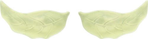 Twee groene bladeren met zichtbare aderen zijn gescheiden op een witte achtergrond.