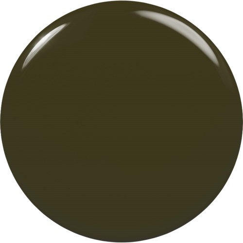 En mörk grönsvart cirkulär föremål med glänsande, slätt yta och ljusreflexer. Inga märkningar eller text syns.
