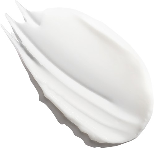 Eine weiße Muschelschale mit glatten Kanten und leicht glänzender Oberfläche. Sie ist geöffnet und zeigt ihren Innenraum.