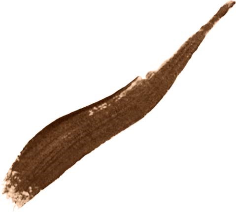 Een bruine penseelstreek geschilderd op een witte achtergrond. Het is dik bij de basis en dun aan de punt.