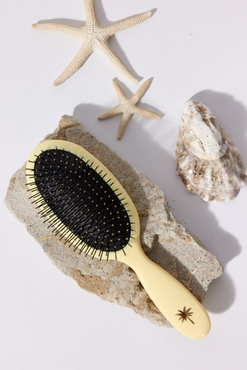 A hairbrush on a rock with starfish and a shell nearby, creating a beach-themed display.