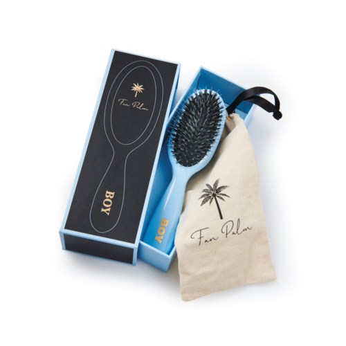 A hairbrush in a blue box with a palm tree logo, included with a cloth bag, labeled "Fan Palm".