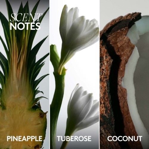 This image shows three sections: a pineapple with green leaves, white tuberose flowers, and a coconut cross-section.