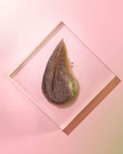 A greenish-brown soap bar with a textured surface on a glass dish, on a pink background.