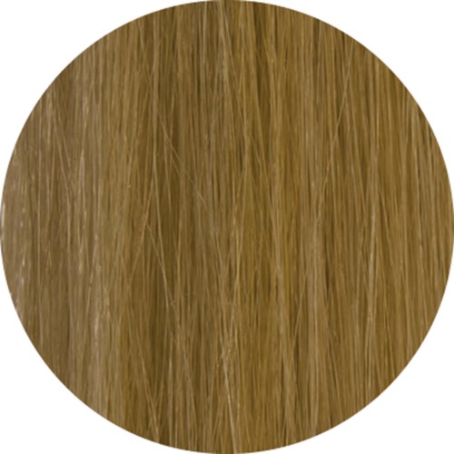 Gordon Hair Buidling Fibers  Dark Blonde