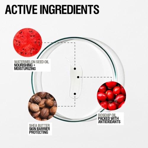 Diagram toont ingrediënten: watermeloenzaadolie, sheaboter, rozenbottelolie en een meetinstrument. Ieder biedt huidverzorgingsvoordelen.