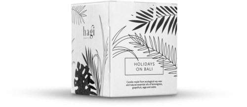A box with tropical leaf designs and the text 'Holidays on Bali.', likely a product for travel or gifts.