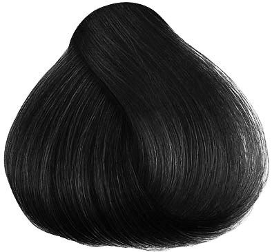 A large drop-shaped lock of shiny black hair, smooth and well-groomed.