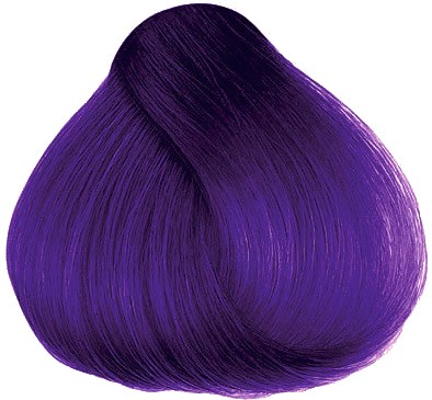 A swirl of shiny purple hair styled in a smooth, rounded shape.