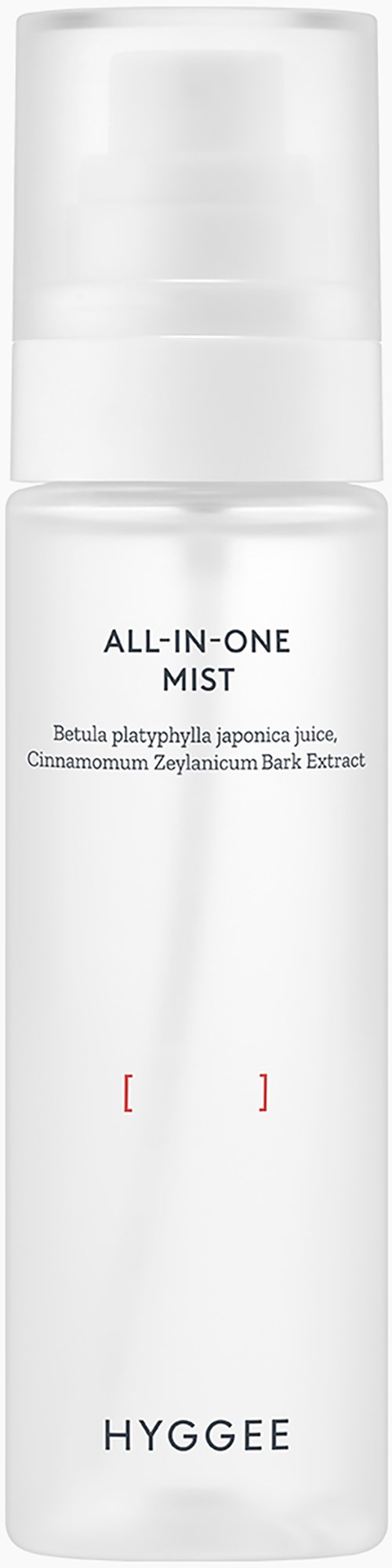 A white bottle labeled 'All-in-One Mist' with a pump, containing skincare product with natural ingredients.